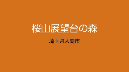 桜山展望台の森