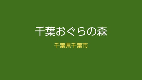 千葉おぐらの森