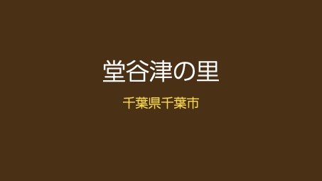 堂谷津の森